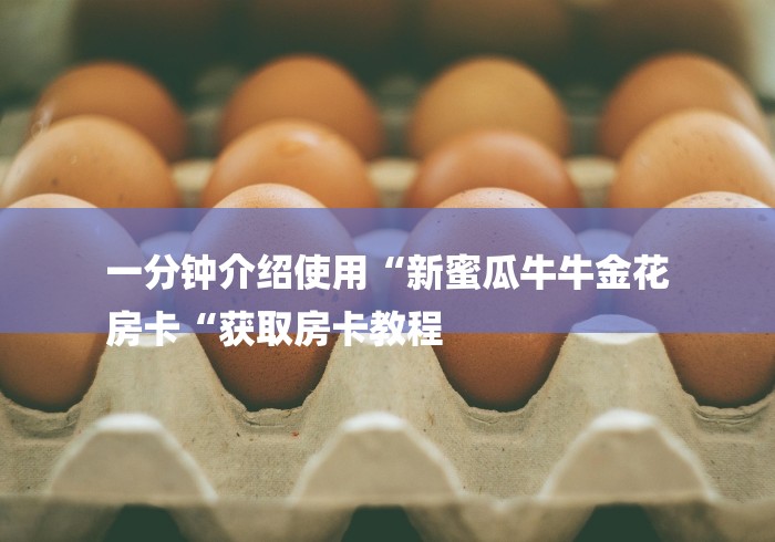 一分钟介绍使用“新蜜瓜牛牛金花
房卡“获取房卡教程