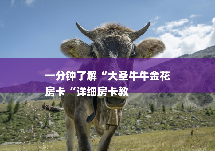 一分钟了解“大圣牛牛金花
房卡“详细房卡教