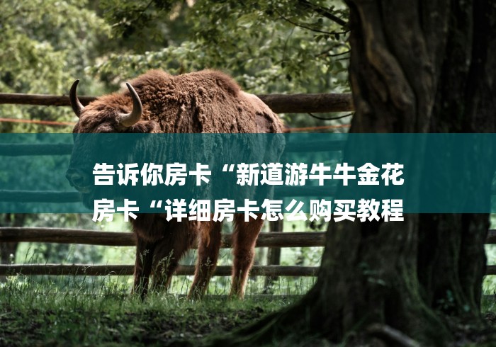 告诉你房卡“新道游牛牛金花
房卡“详细房卡怎么购买教程 告诉你房卡“新道游牛牛金花
房卡“详细房卡怎么购买教程