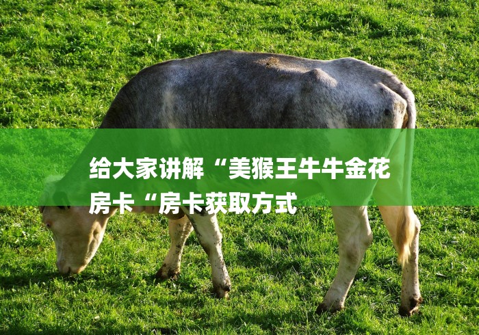 给大家讲解“美猴王牛牛金花
房卡“房卡获取方式