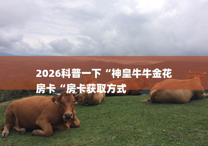 2026科普一下“神皇牛牛金花
房卡“房卡获取方式 2026科普一下“神皇牛牛金花
房卡“房卡获取方式