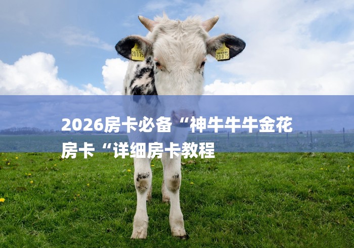 2026房卡必备“神牛牛牛金花
房卡“详细房卡教程