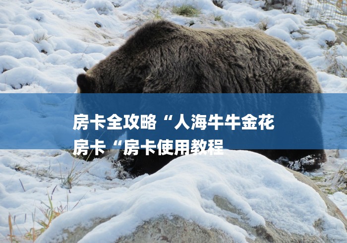 房卡全攻略“人海牛牛金花
房卡“房卡使用教程
